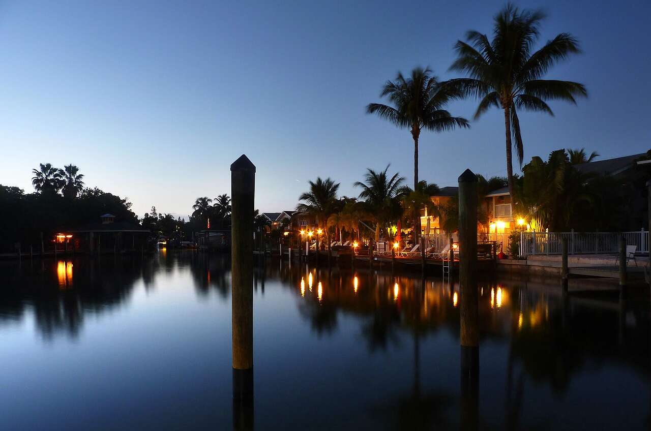 A canal at dusk with palms and house lights along the bank