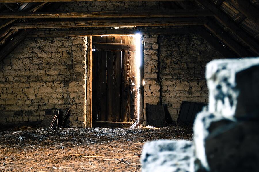 An open attic access door with daylight coming through into a dim attic