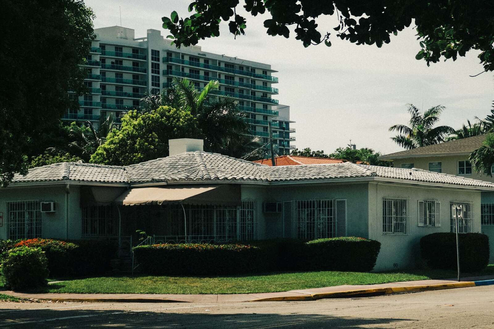 An older single-story house under trees with a high-rise behind it