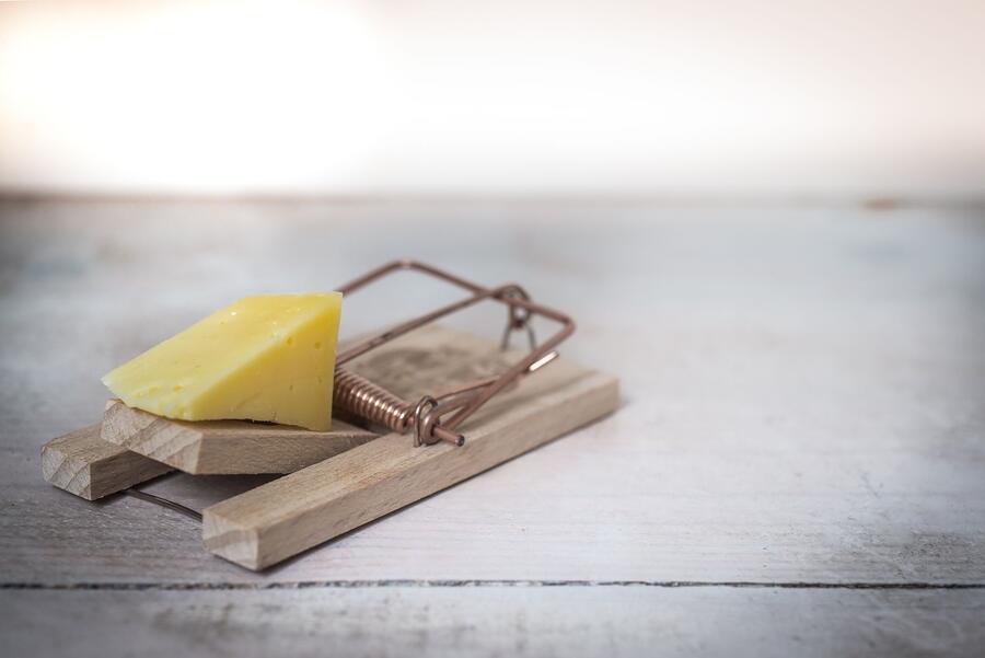 A baited wooden snap trap set on a wooden surface