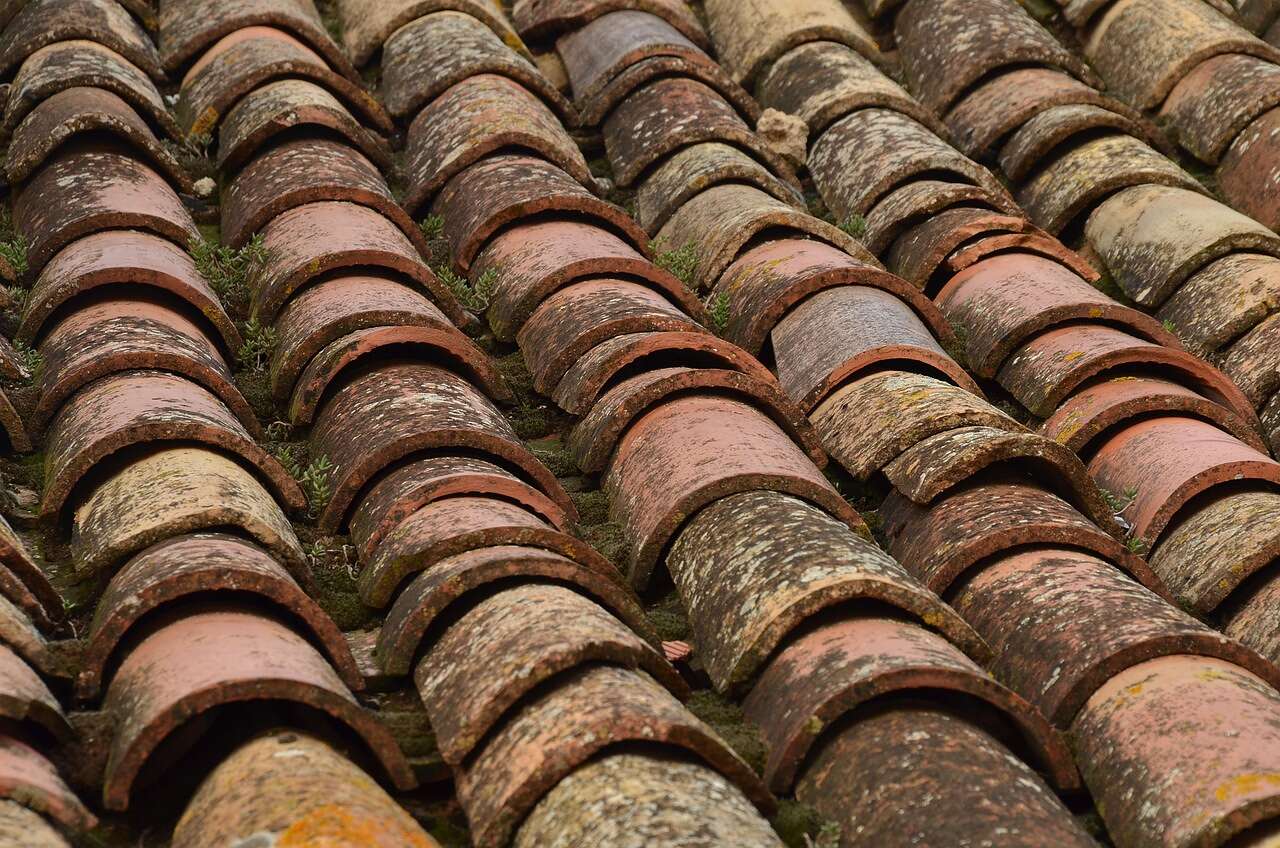 The open half-round ends of a first course of barrel tile at the eave, the gap a bird stop closes