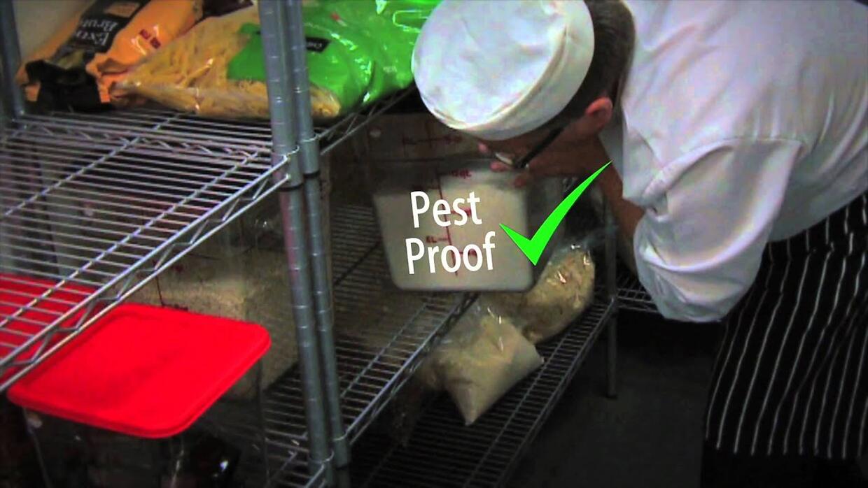 Video preview: Food safety coaching: pest control