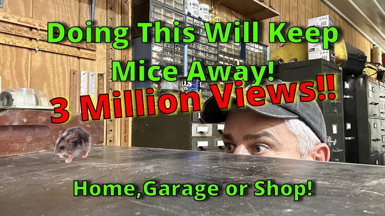 Video preview: 3 Ways To Get Rid Of Mice or Rats, And Keep Them Out!