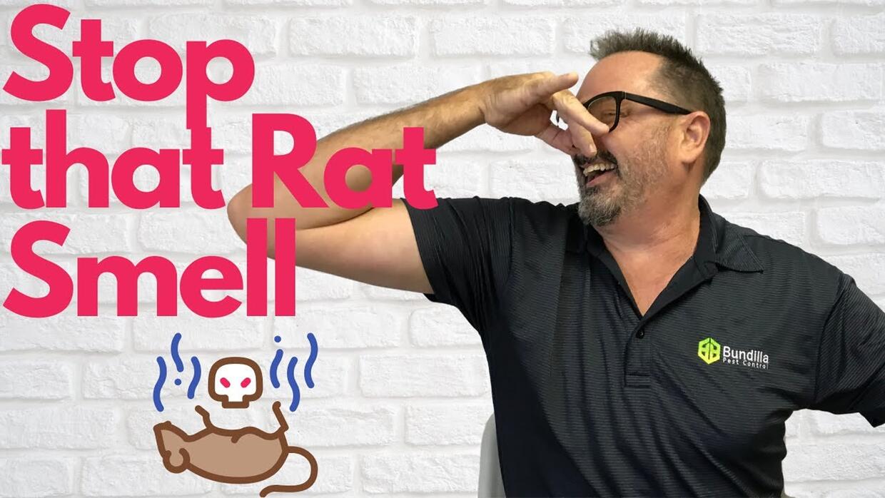 Video preview: Get rid of that dead rat smell